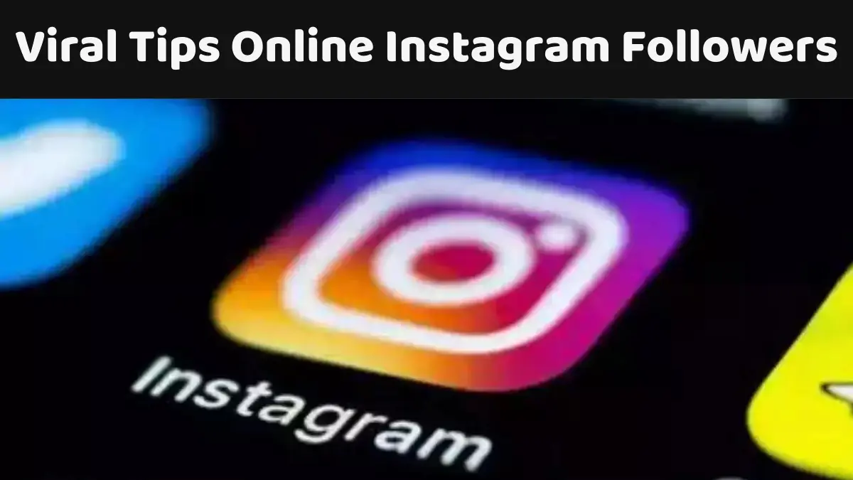 Viral Tips Online Instagram Followers