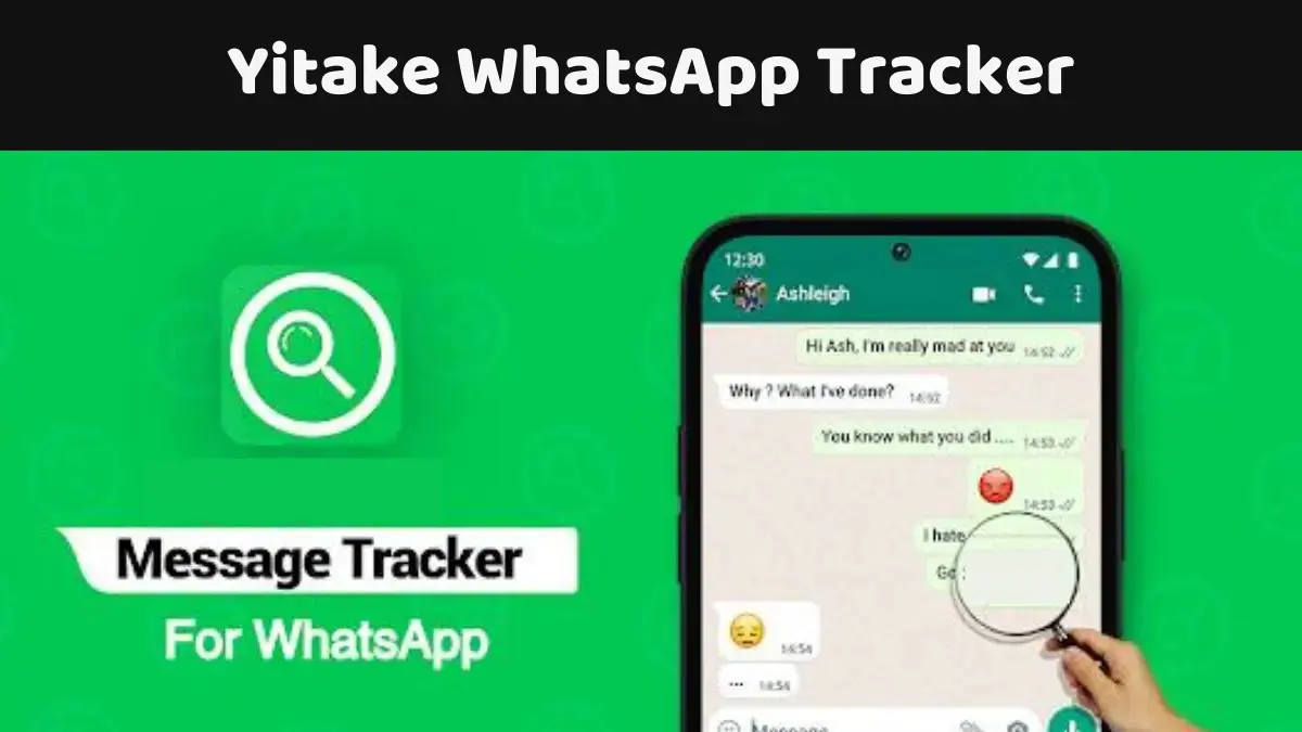 Yitake WhatsApp Tracker